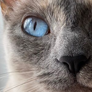 Meet your Posher, Kat